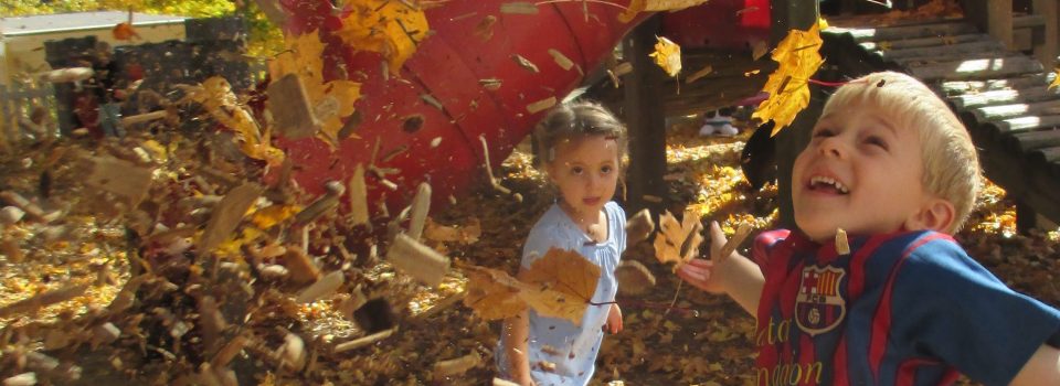 Plymouth Nursery School Kids Playing In Leaves